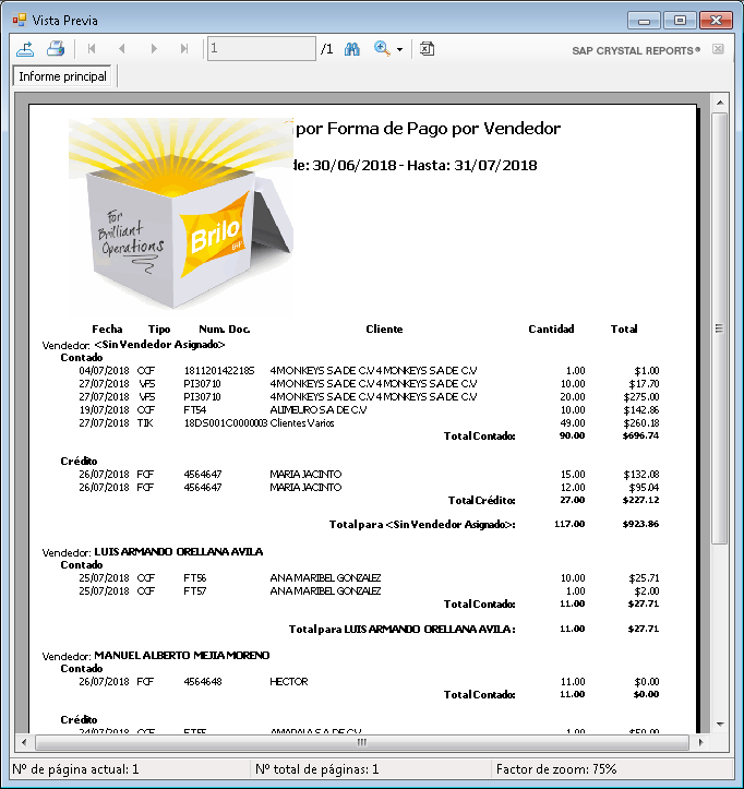 Ventas Por Forma De Pago Por Vendedor Brilo ERP Docs